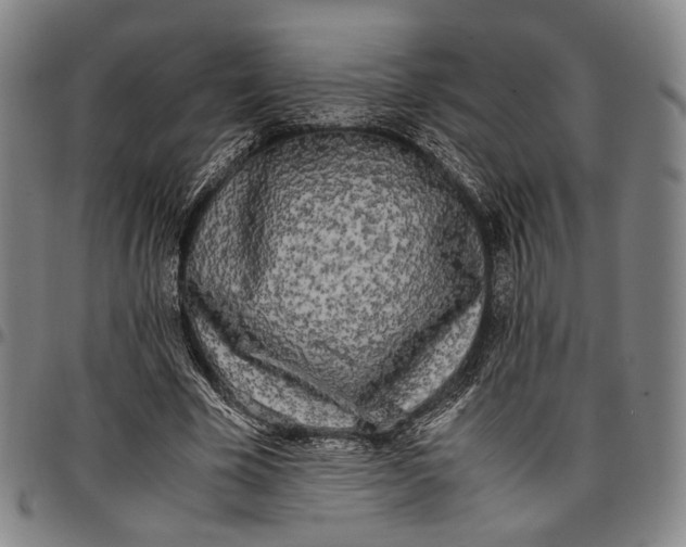 X0000096670585200802191331
