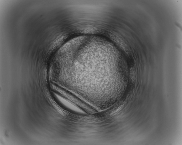 X0000096670589200802191331