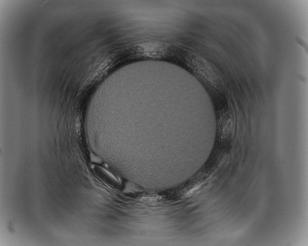 X0000096670595200802191331