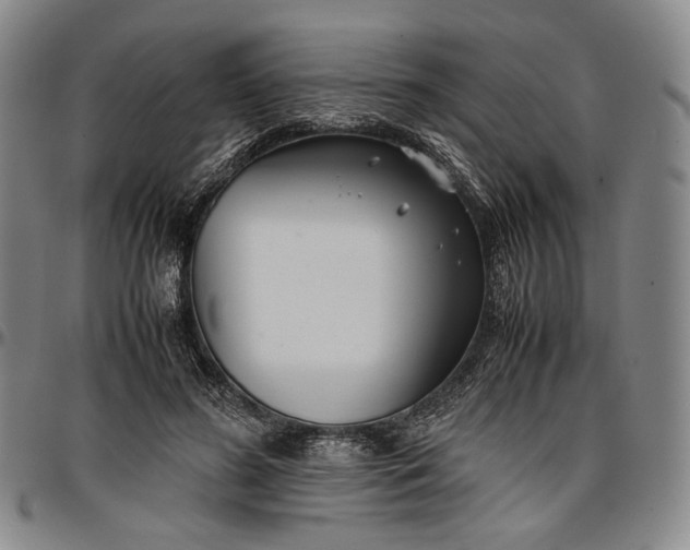 X0000096670596200802191331