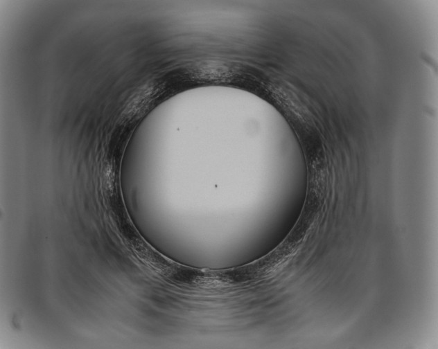 X0000096670597200802191331