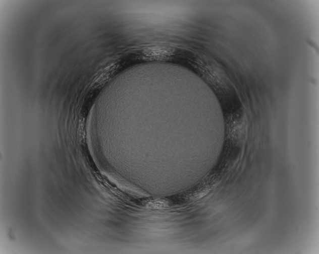 X0000096670599200802191331