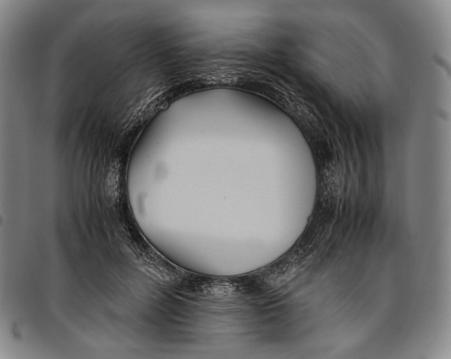 X0000096670600200802191331
