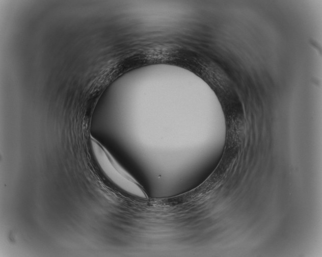 X0000096670601200802191331