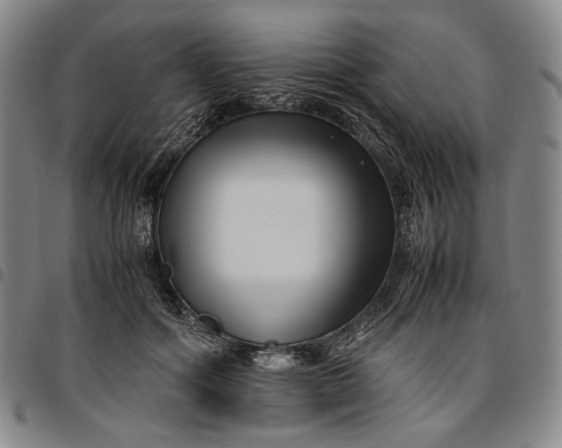 X0000096670602200802191331