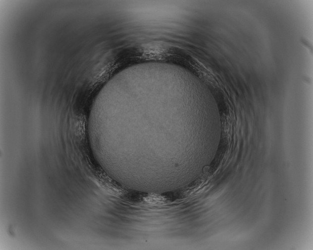 X0000096670603200802191331