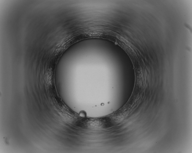 X0000096670604200802191331