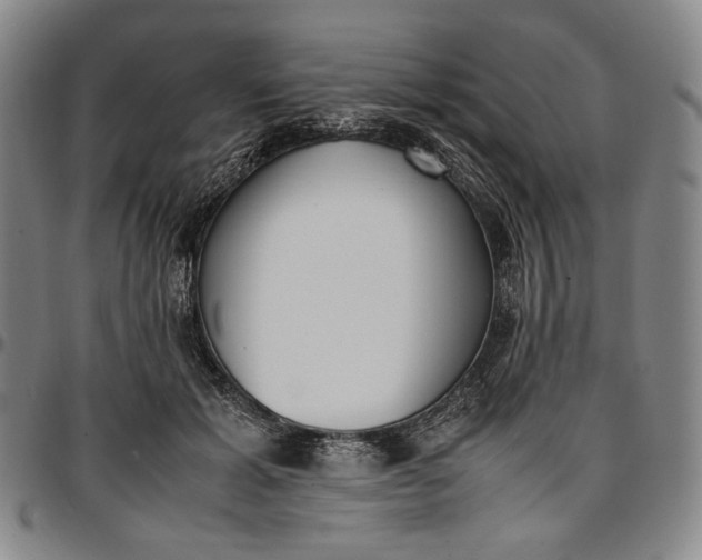 X0000096670605200802191331