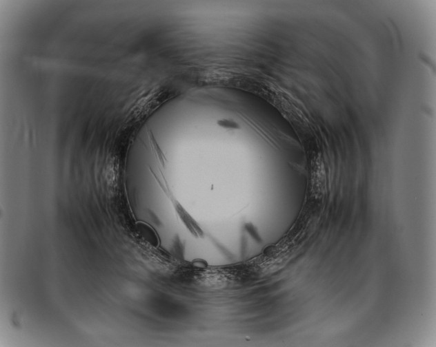 X0000096670608200802191331