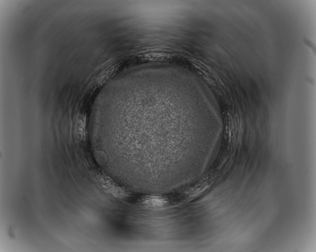 X0000096670610200802191331