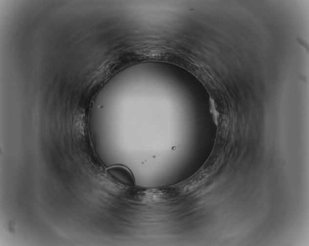 X0000096670612200802191331