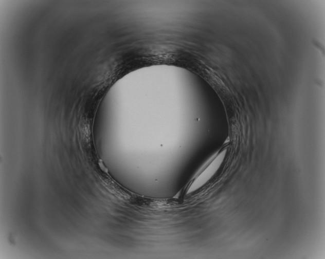 X0000096670613200802191331