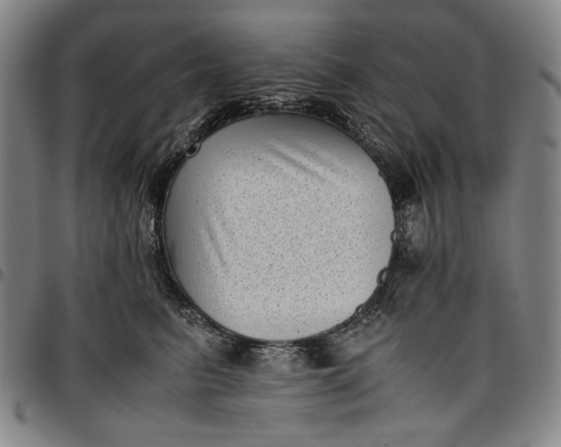 X0000096670615200802191331