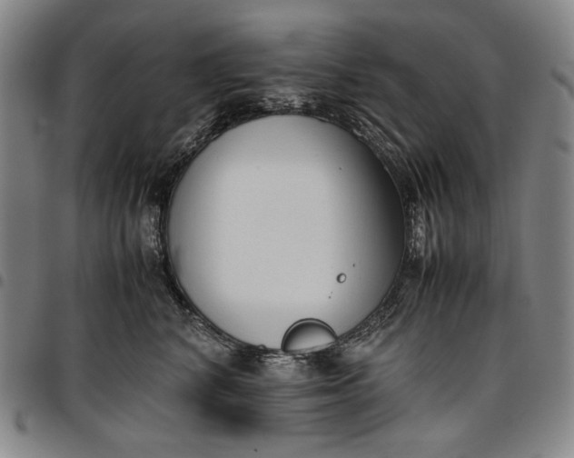 X0000096670616200802191331