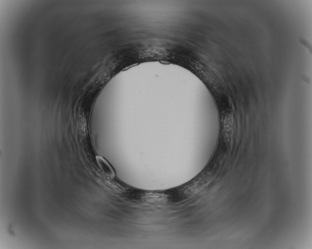 X0000096670617200802191331