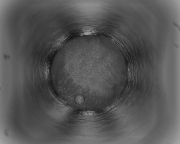X0000096670618200802191331