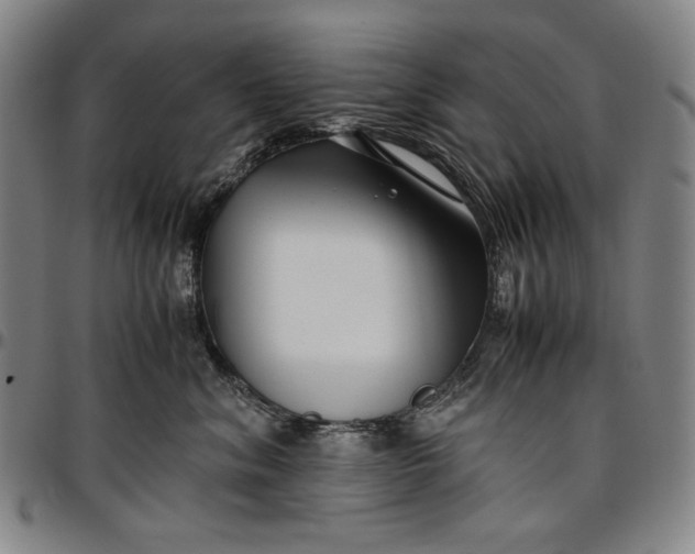 X0000096670620200802191331