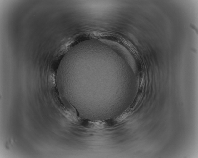 X0000096670621200802191331