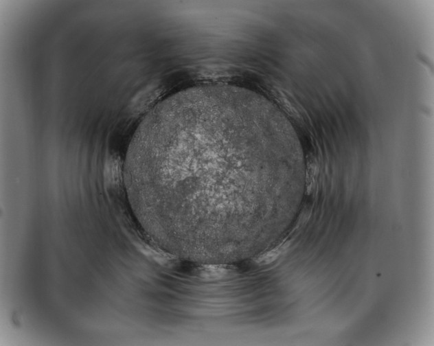 X0000096670623200802191331