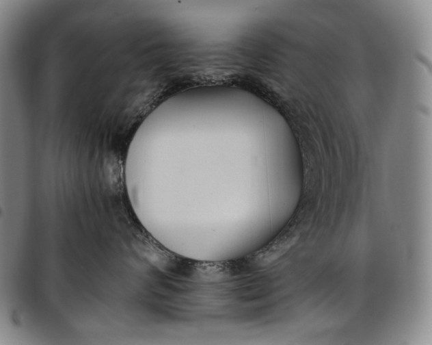 X0000096670624200802191331