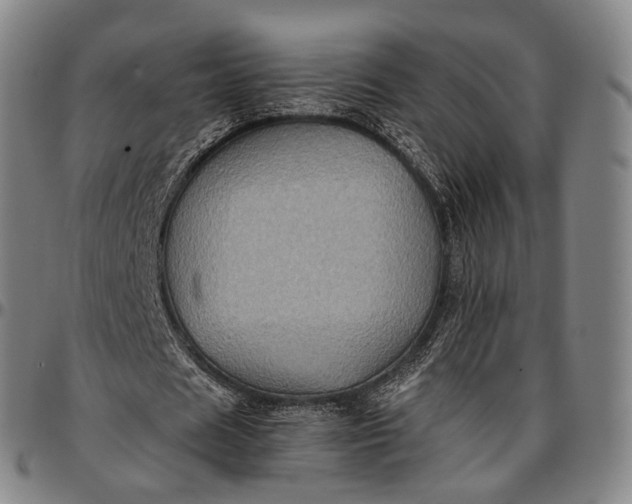 X0000096670625200802191330