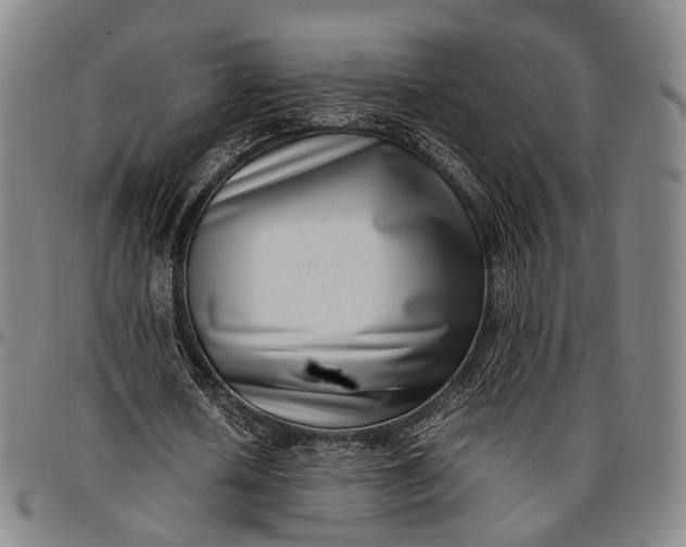 X0000096670626200802191330