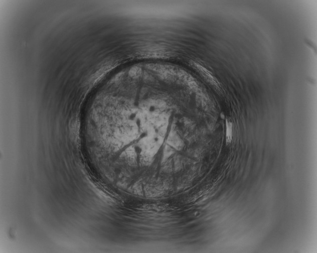 X0000096670627200802191330