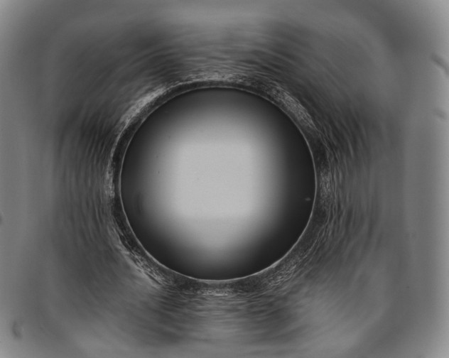 X0000096670628200802191330