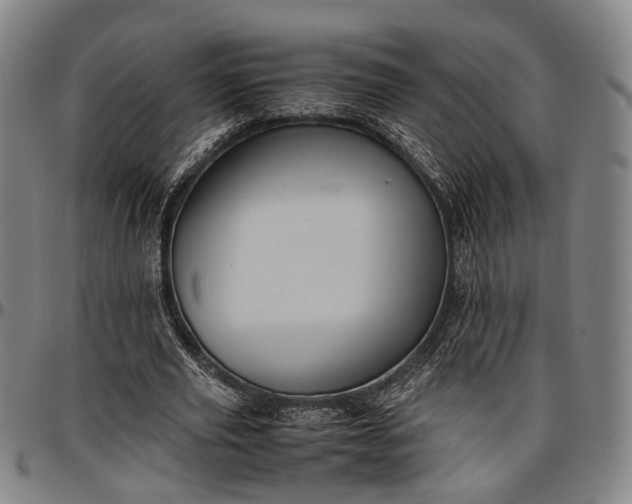 X0000096670629200802191330