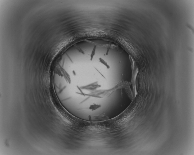 X0000096670630200802191330