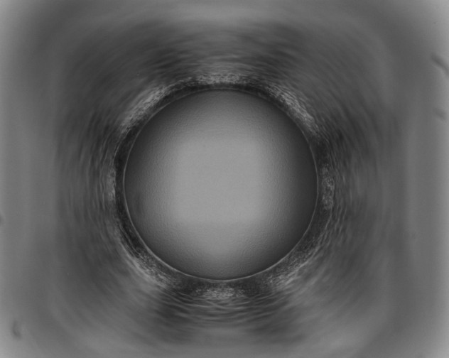 X0000096670631200802191330