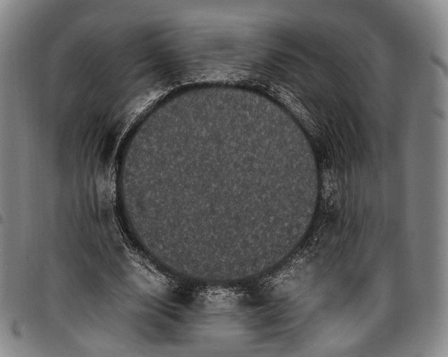X0000096670632200802191330