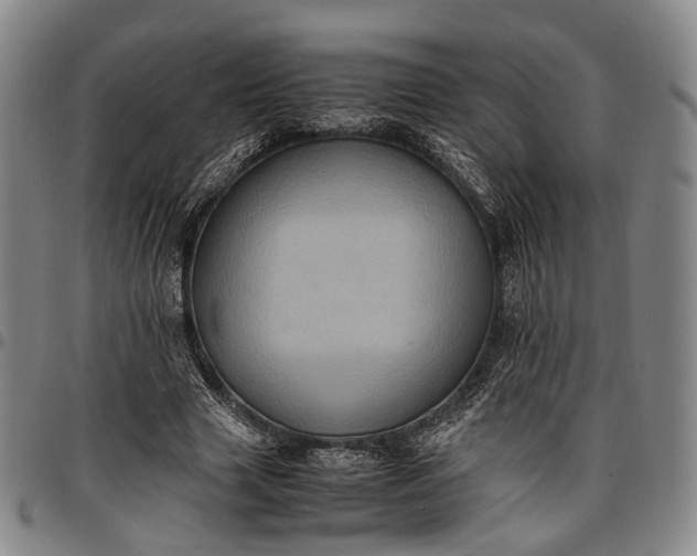 X0000096670633200802191330