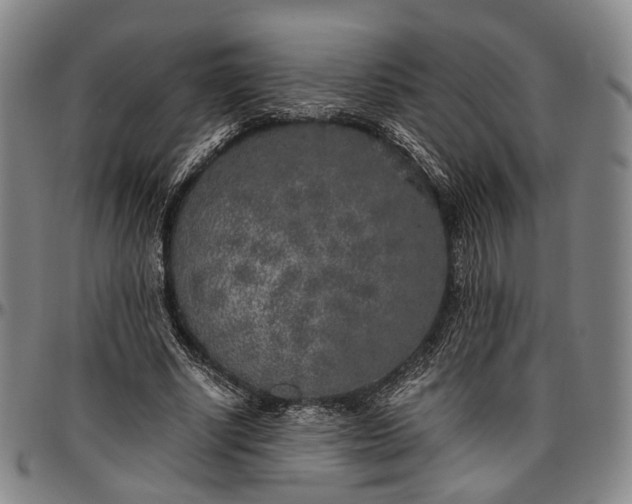 X0000096670634200802191330