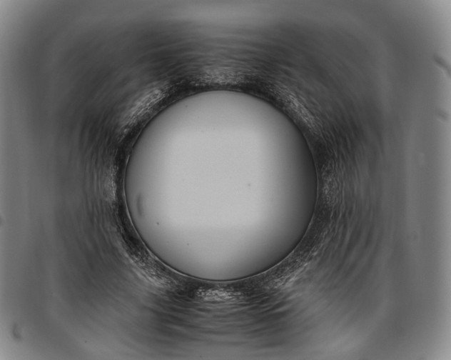 X0000096670635200802191330