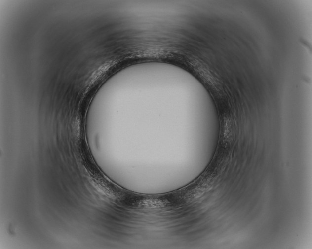 X0000096670636200802191330