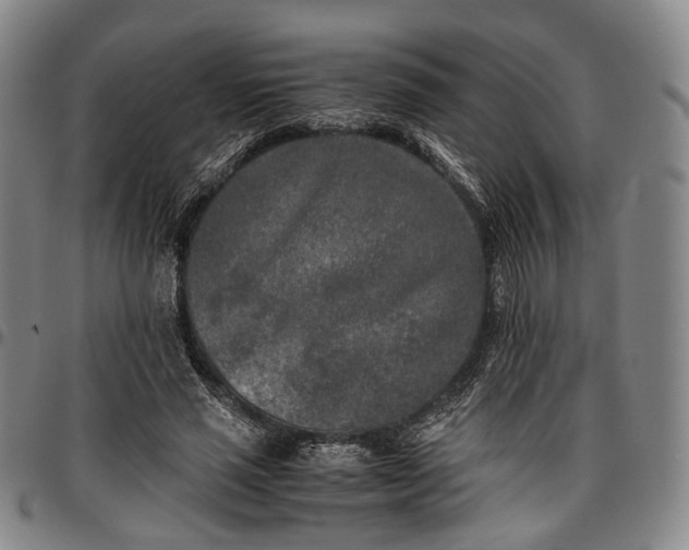 X0000096670637200802191330