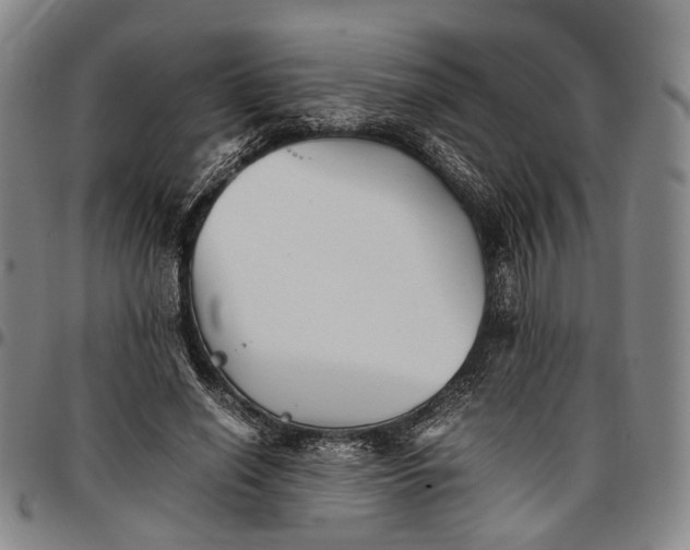X0000096670638200802191330