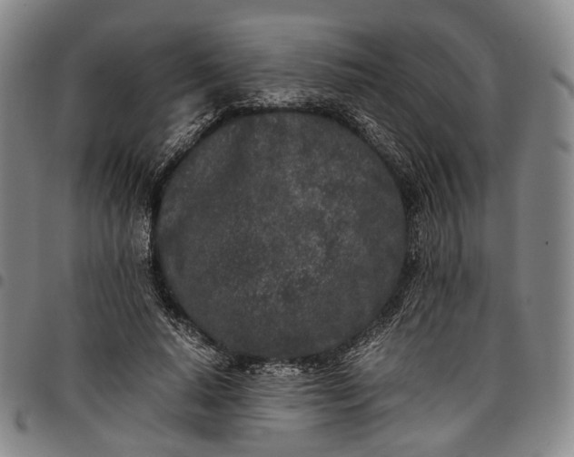 X0000096670640200802191330
