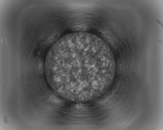 X0000096670641200802191330