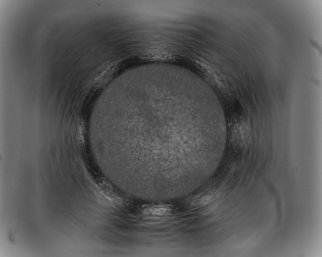 X0000096670643200802191330