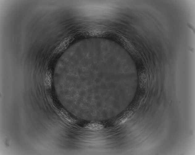X0000096670644200802191330