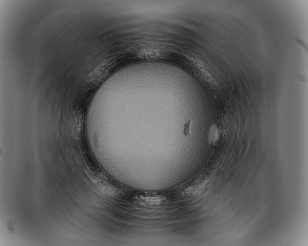 X0000096670645200802191330
