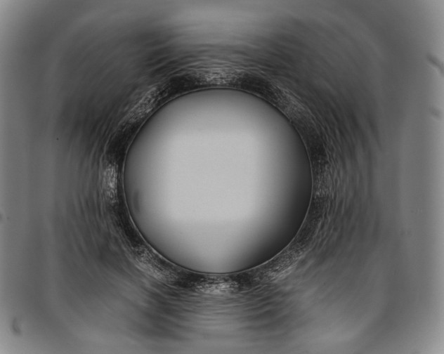 X0000096670646200802191330