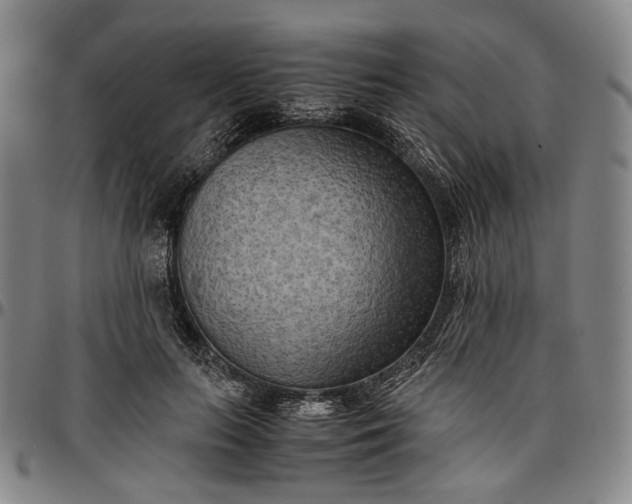 X0000096670647200802191330