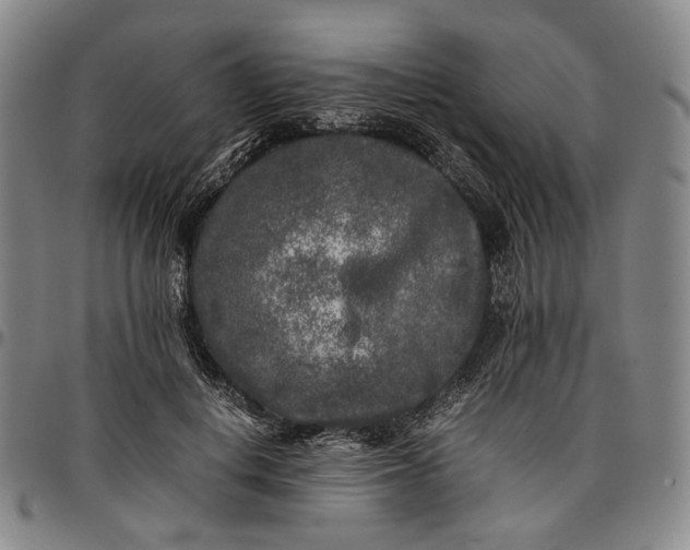 X0000096670648200802191330