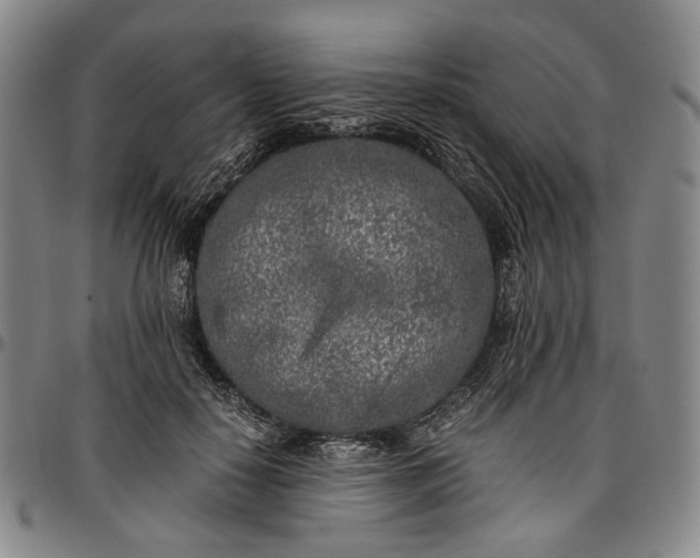 X0000096670650200802191330