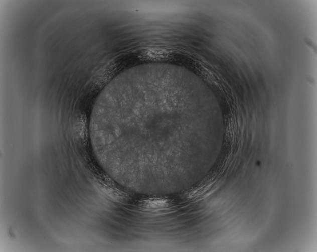 X0000096670651200802191330