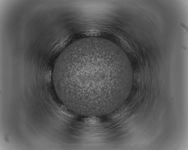 X0000096670652200802191330