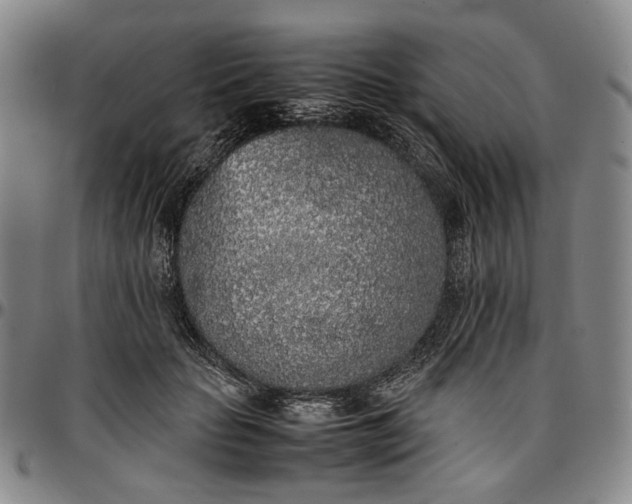 X0000096670653200802191330